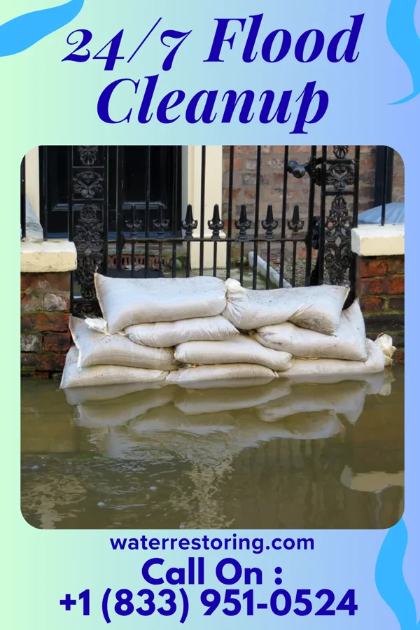 24/7 Flood Cleanup in Winters, TX