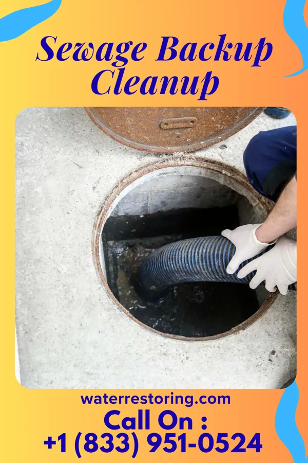 Sewage Backup Cleanup in Winters, TX